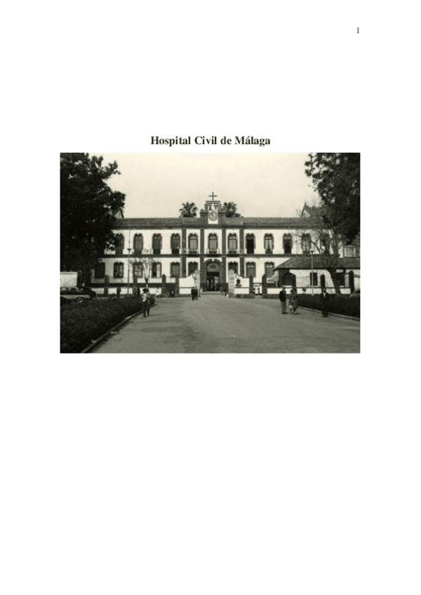 Miniatura del documento Trabajo hospital (aprobado).pdf