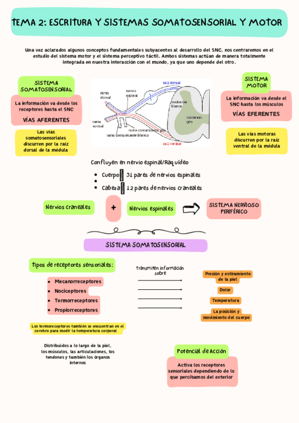 Miniatura del documento TEMA-2-NIVELES-TACTILES.pdf