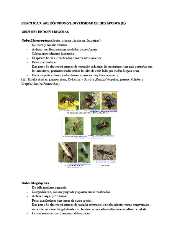 Miniatura del documento practica-9.pdf