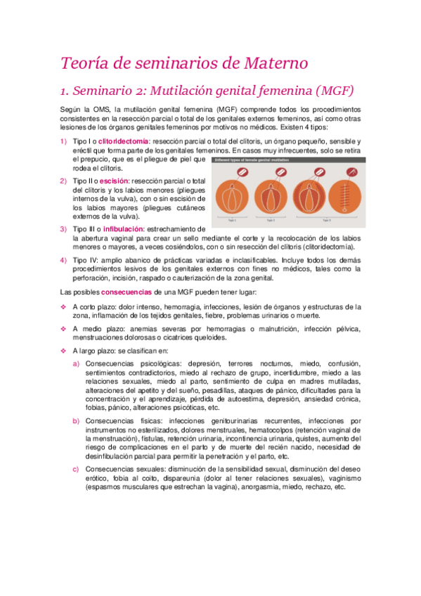 Miniatura del documento Teoria-de-seminarios.pdf