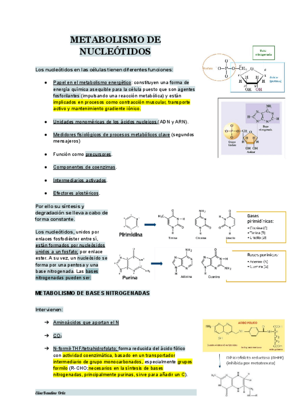 Miniatura del documento TEMA-21-BIOQUIMICA.pdf