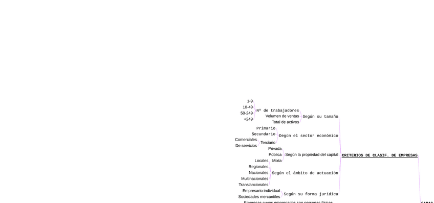 Miniatura del documento Esquema-Clasificacion-empresas.pdf
