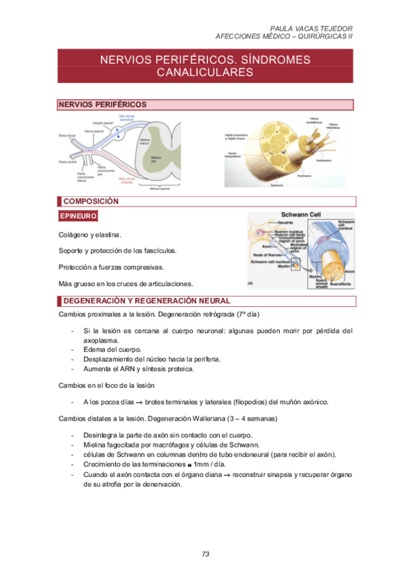 Miniatura del documento NERVIOS-PERIFERICOS.-SINDROEMES-CANALICULARES.pdf