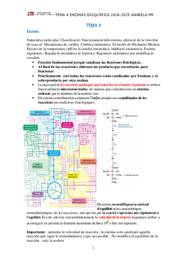 Miniatura del documento TEMA-4-BIOQUIMICA-pdf-mios.pdf
