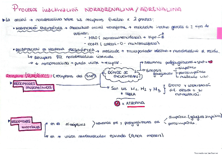 Miniatura del documento ESQUEMAS-FARMA.pdf