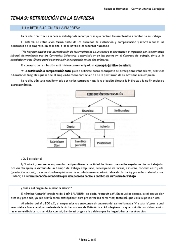 Miniatura del documento RRHH-T9-Carmen-Atanes-Cortejoso.pdf