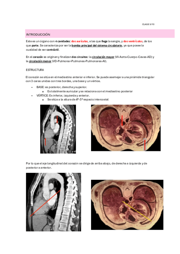Miniatura del documento CORAZON.pdf