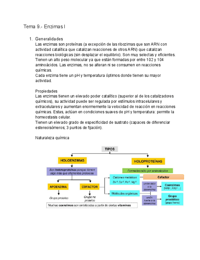 Miniatura del documento Tema-9-Enzimas-I.pdf