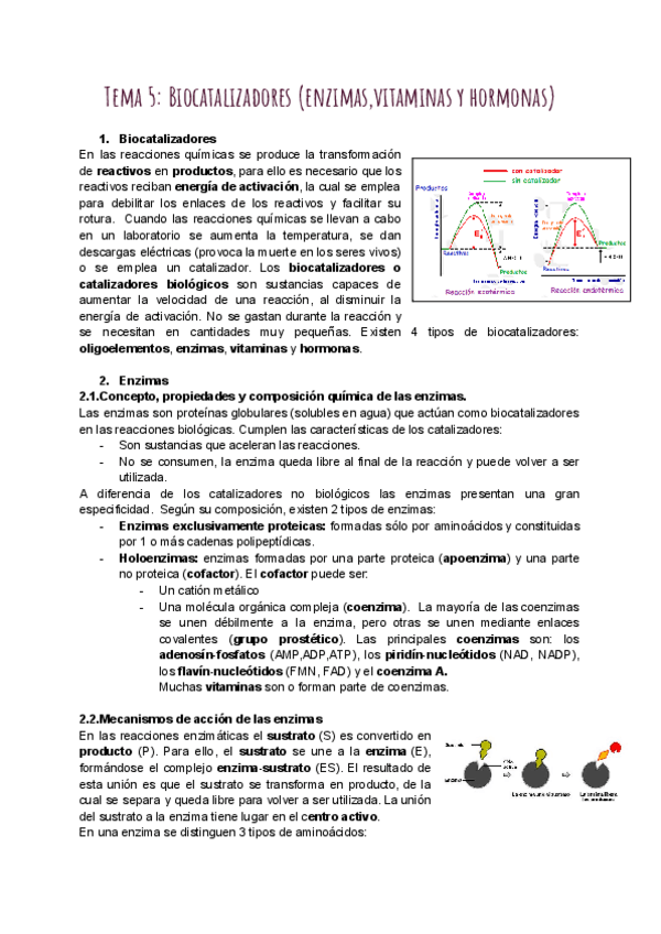 Miniatura del documento Tema-5-Biocatalizadores-enzimasvitaminas-y-hormonas.pdf