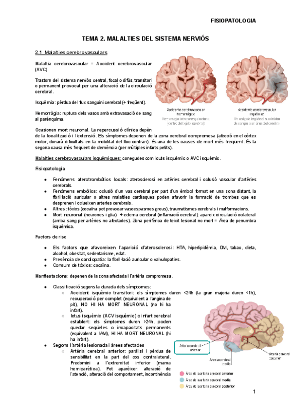 Miniatura del documento TEMA-2.pdf