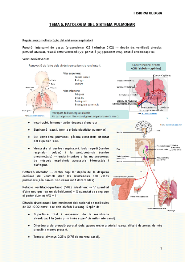 Miniatura del documento TEMA-5.pdf