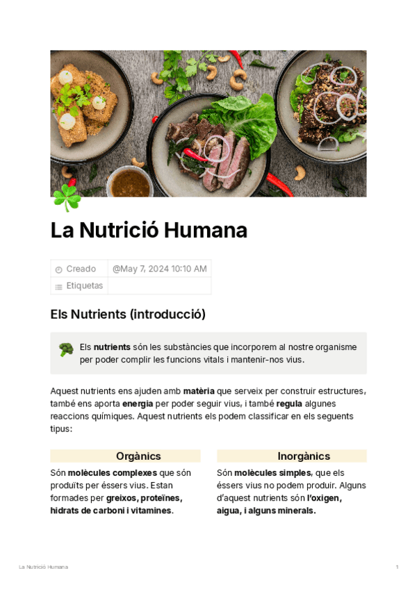 Miniatura del documento La-Nutricio-Humana.pdf