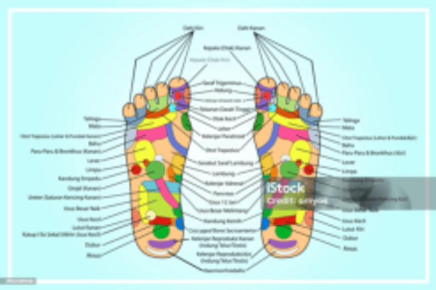 Miniatura del documento pies.pdf