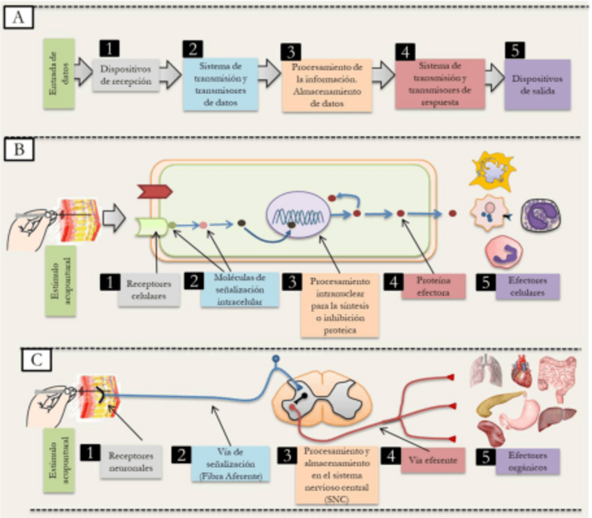 Miniatura del documento processes.pdf