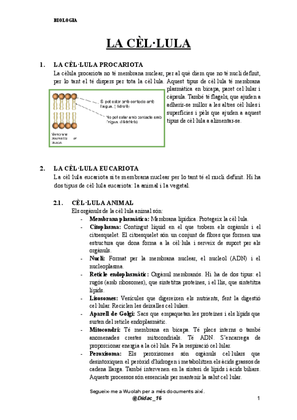 Miniatura del documento LA-CELLULA.pdf