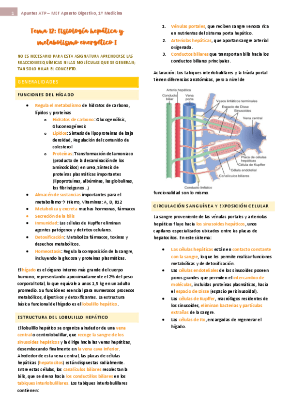 Miniatura del documento tema-12-ap-digest-fisio.pdf