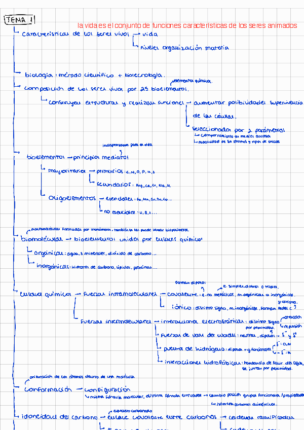 Miniatura del documento tema-1-bioelementos-y-biomoleculas esquema.pdf