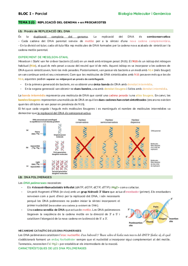 Miniatura del documento TEMA-2.pdf