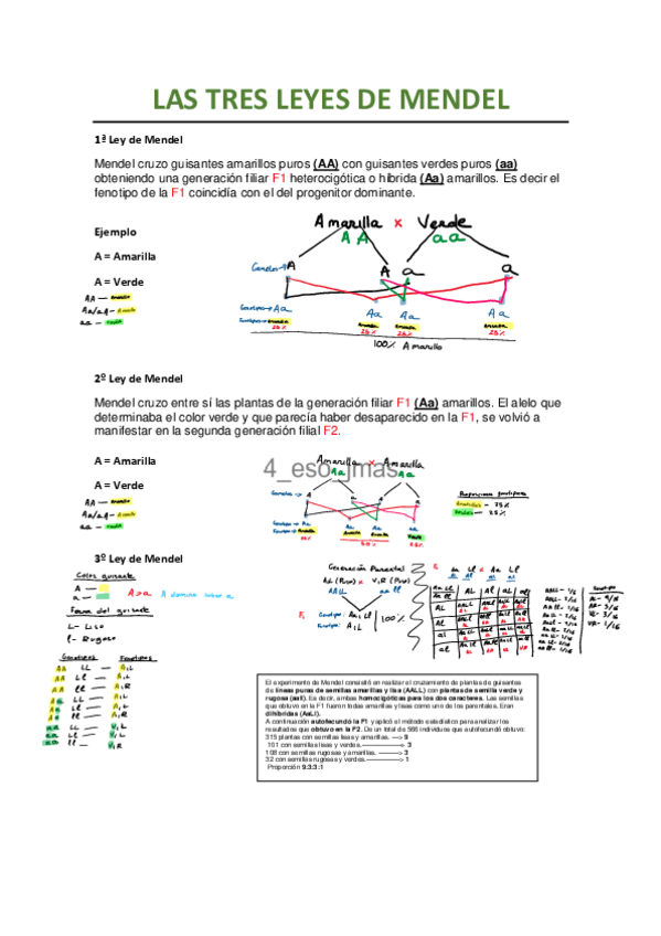 Miniatura del documento LAS-TRES-LEYES-DE-MENDEL-en-pdfwatermark-1.pdf