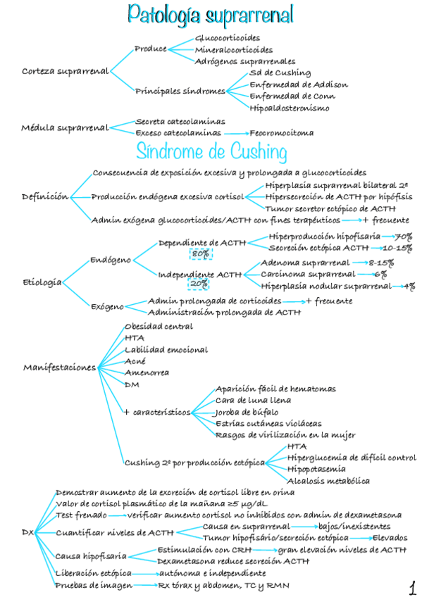 Miniatura del documento Patologia-Suprarrenal.pdf