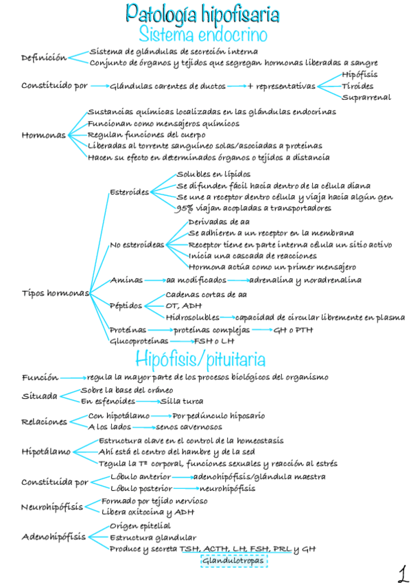 Miniatura del documento Patologia-Hipofisaria.pdf
