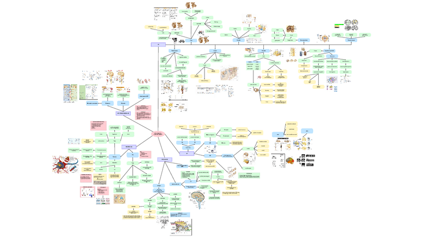 Miniatura del documento Mapa-mental.pdf