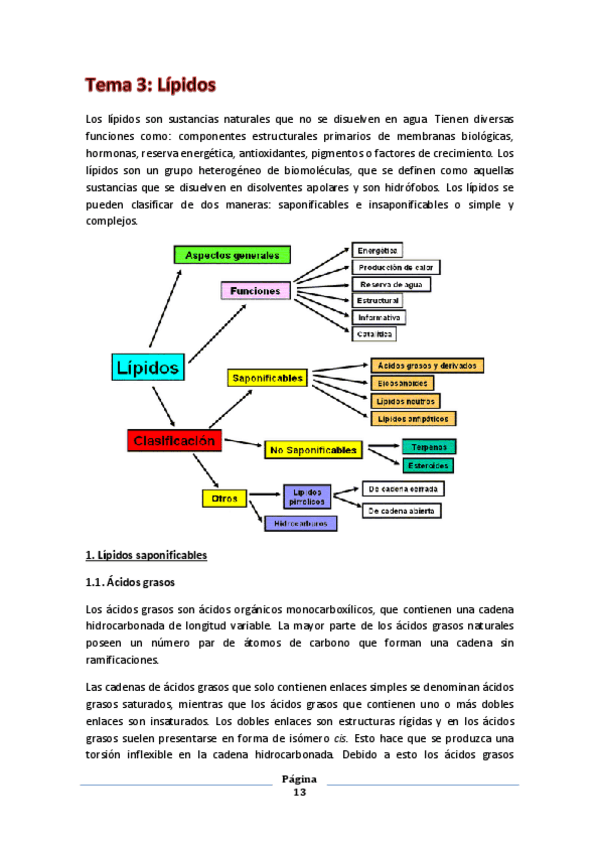 Miniatura del documento Tema 3- Lípidos.pdf