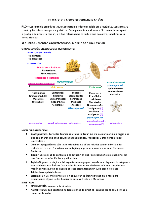 Miniatura del documento TEMA-7.pdf