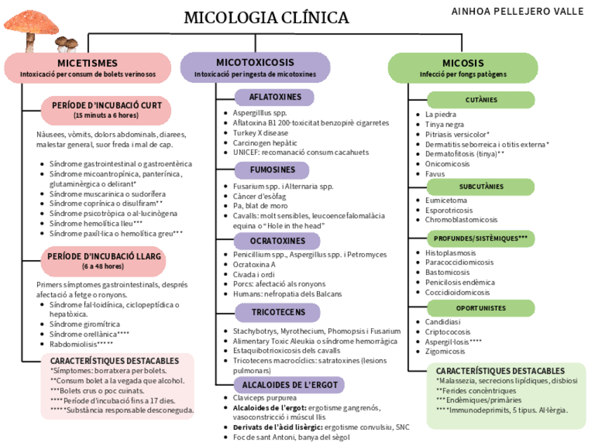Miniatura del documento Esquema-Micologia-Clinica.pdf