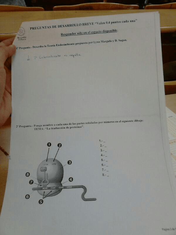 Miniatura del documento IMG-20140910-WA0005.jpg