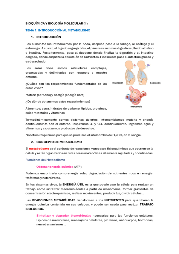 Miniatura del documento TEMARIO-COMPLETO-PRIMER-PARCIAL-BIOQUIMICA-Y-BIOLOGIA-MOLECULAR-II.pdf