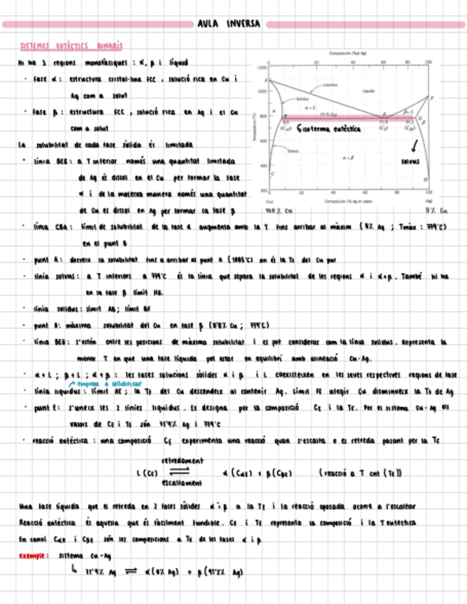 Miniatura del documento resum aula inversa.pdf
