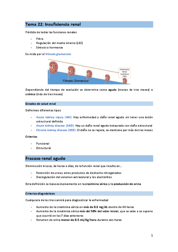 Miniatura del documento T22-FIS-insuficiencia-renal.pdf