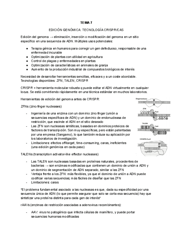 Miniatura del documento Tema-7-y-8-EDICION-GENOMICA-y-PRODUCCION-DE-PROTEINAS-RECOMBINANTES-EN-BACTERIAS.pdf