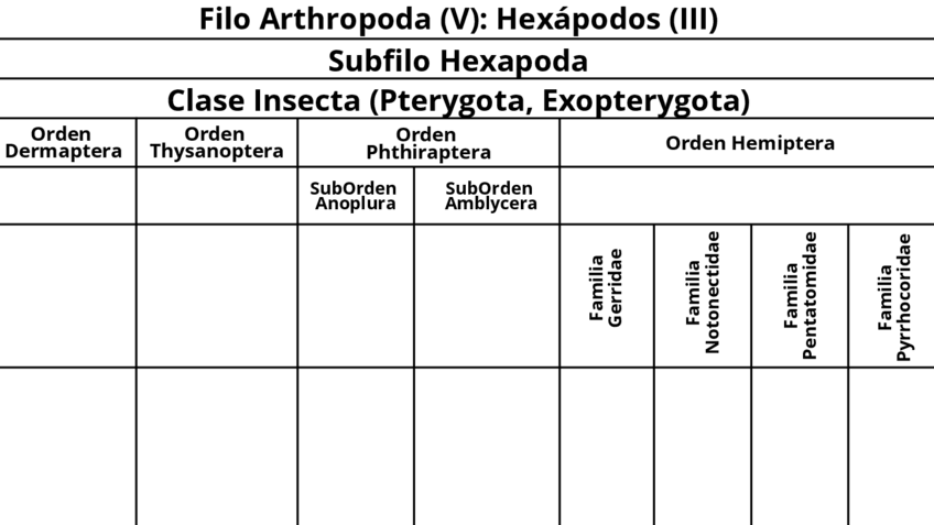 Miniatura del documento Esquema-nomenclatura-P.10.pdf