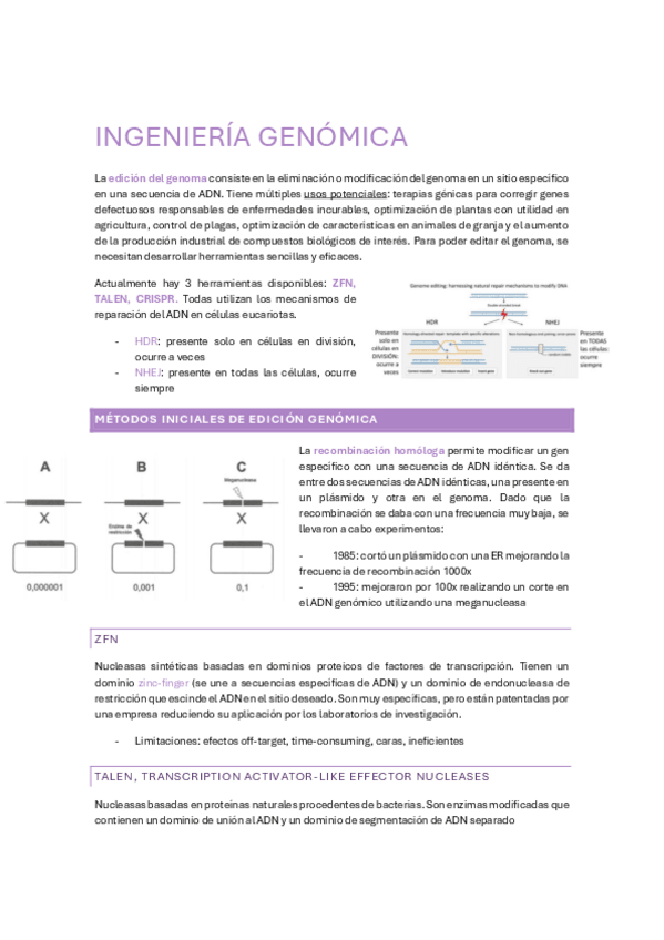 Miniatura del documento Tema-7-Ingenieria-genomica.pdf