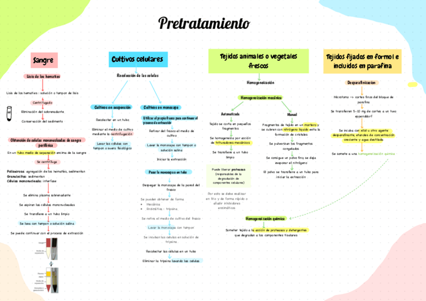 Miniatura del documento Extraccion-y-purificacion-de-acidos-nucleicos.pdf