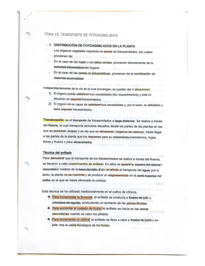 Miniatura del documento Tema-13-Transporte-de-fotoasimilados.pdf