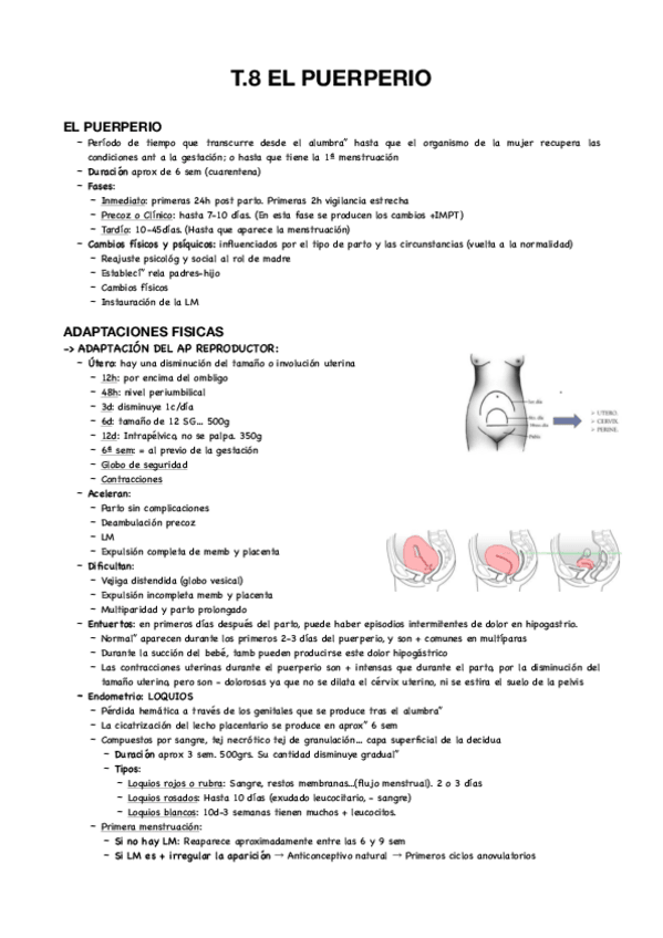 Miniatura del documento T8-MATERNO.pdf