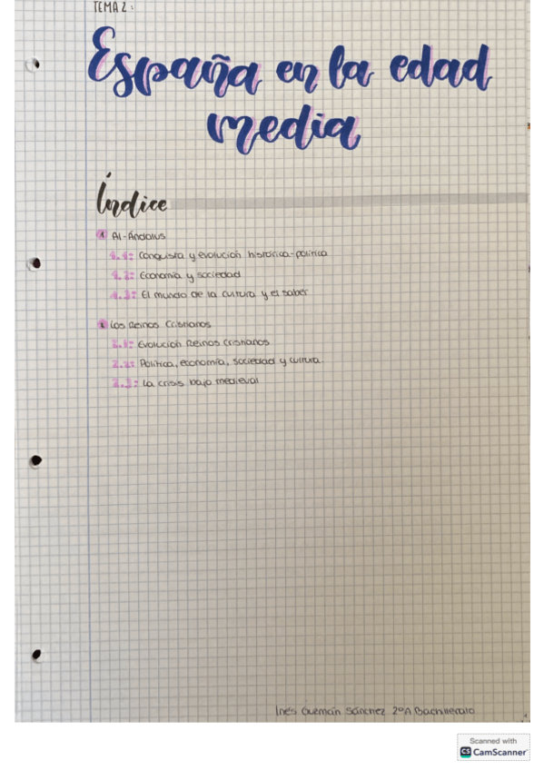 Miniatura del documento Tema-2-historia-de-Espana-Espana-en-la-edad-media.pdf