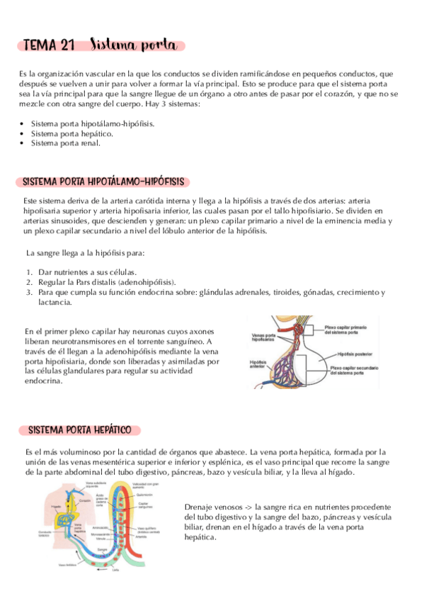 Miniatura del documento tema-21.-sistema-porta.pdf