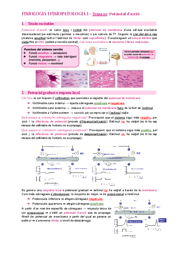 Miniatura del documento Tema-10-Potencial-daccio.pdf