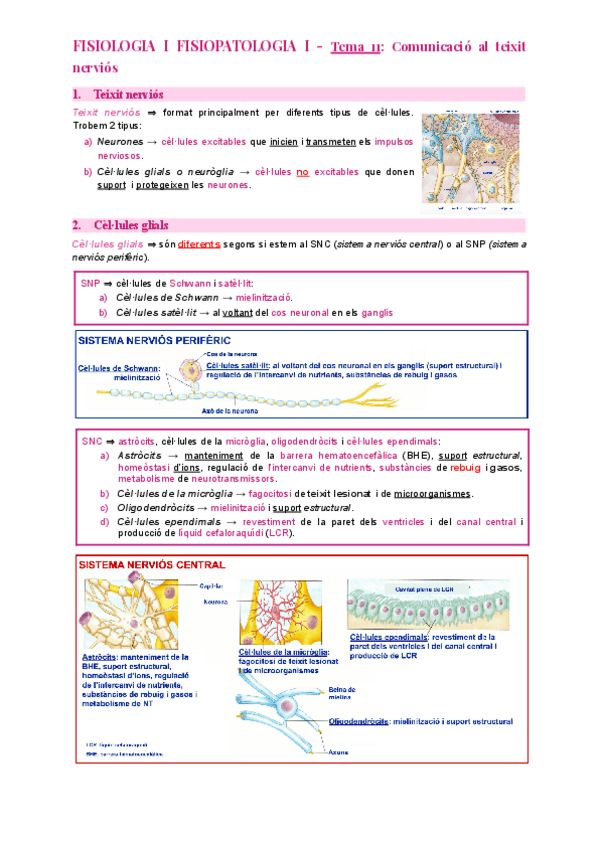 Miniatura del documento Tema-11-Comunicacio-al-teixit-nervios.pdf