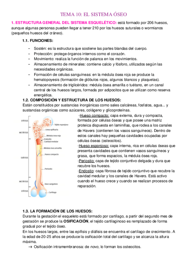 Miniatura del documento SISTEMA-OSEO.pdf