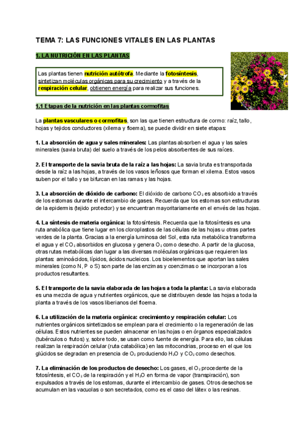 Miniatura del documento Biologia-1oBachillerato-TEMA-7-LAS-FUNCIONES-VITALES-EN-LAS-PLANTAS.pdf