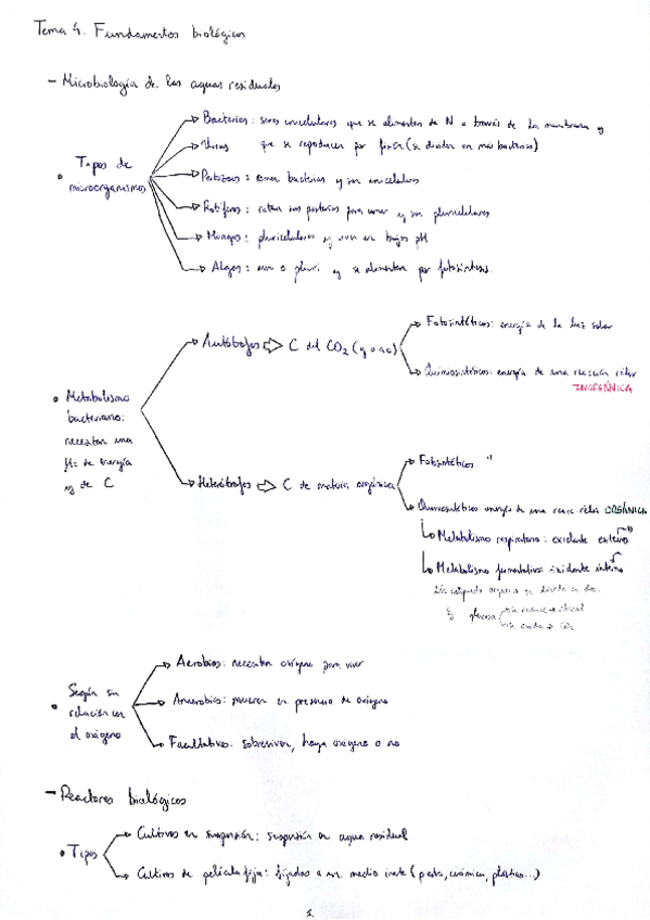 Miniatura del documento Tema 4. Fundamentos biológicos.pdf