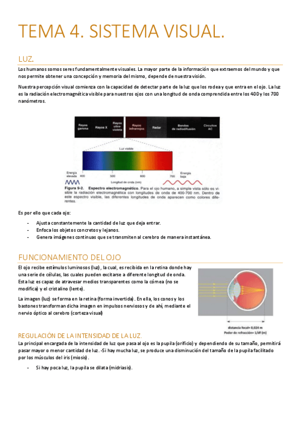 Miniatura del documento TEMA-4.-VISION.pdf