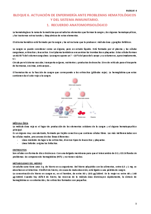 Miniatura del documento CLINICA-B6-Resumen.pdf