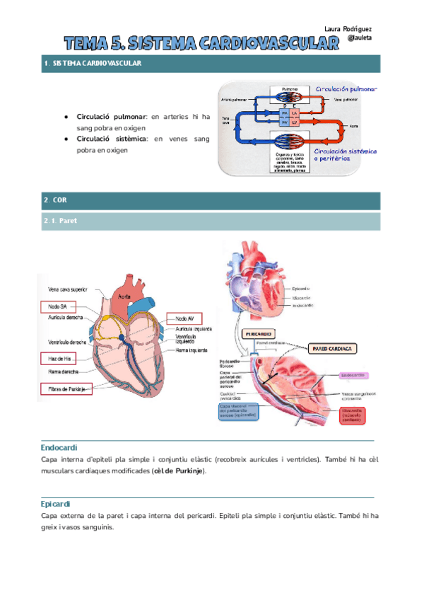 Miniatura del documento Tema-5-Histologia.pdf