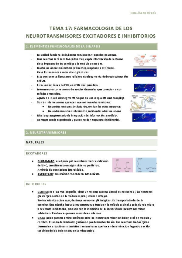 Miniatura del documento TEMA-17-neurofarma.pdf